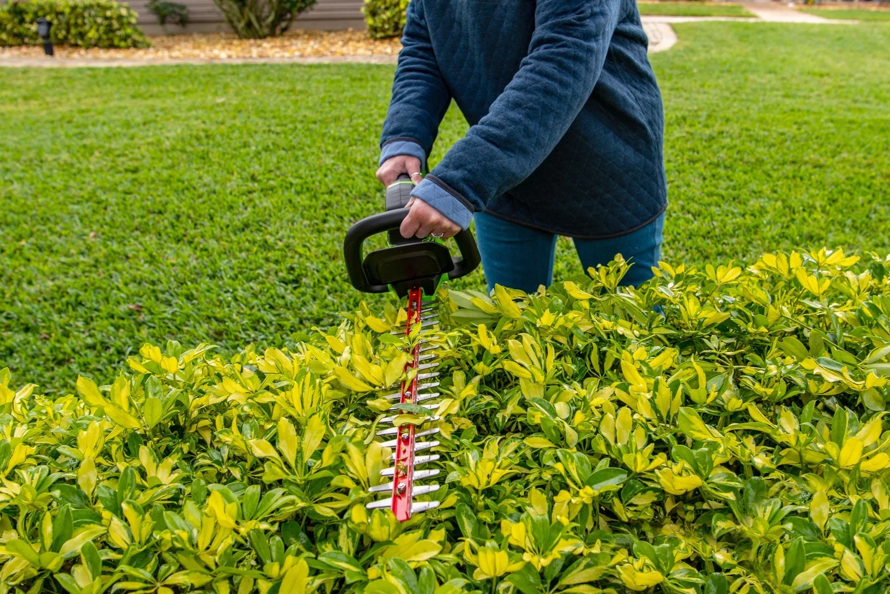 24-Volt 22" Hedge Trimmer with Battery and Charger | 24H20 - Image 17